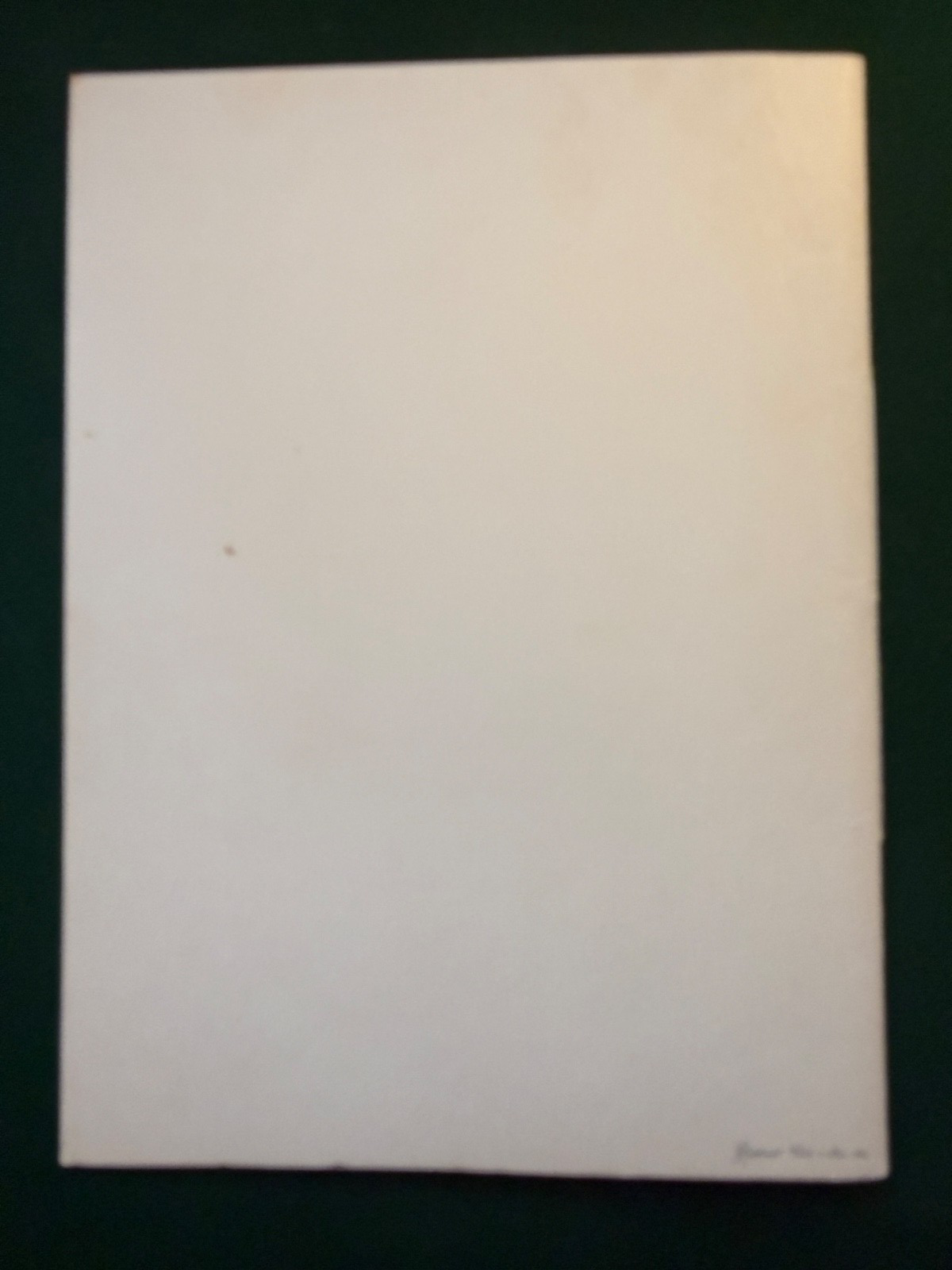 Image #8