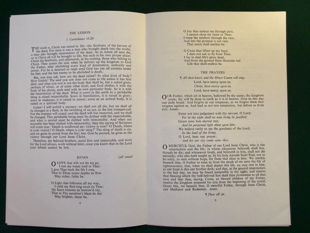 Image #12