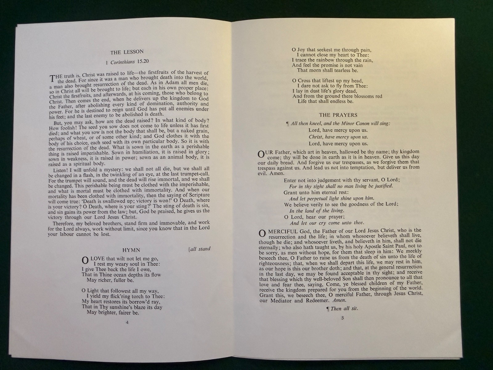 Image #12
