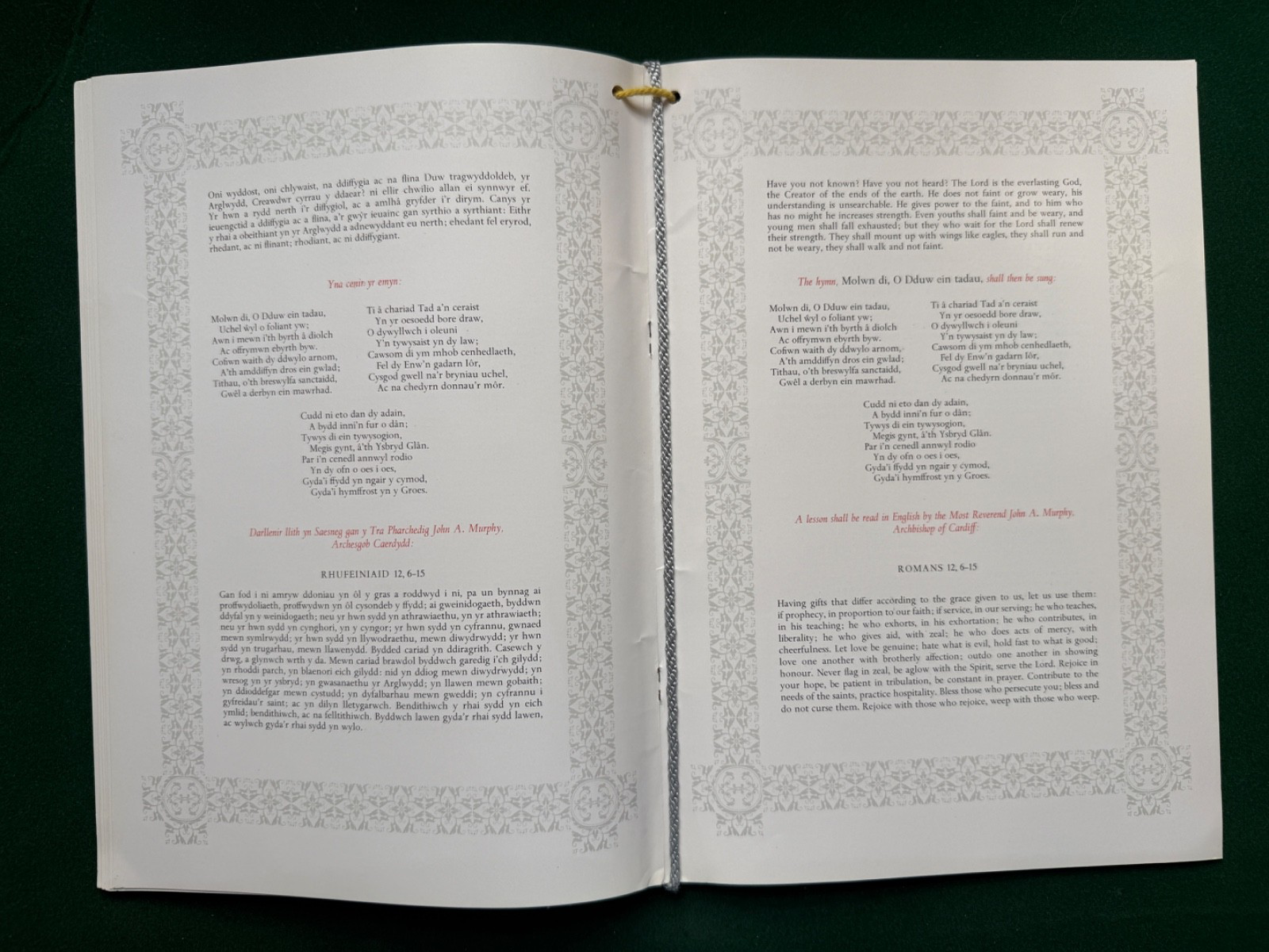 Image #8