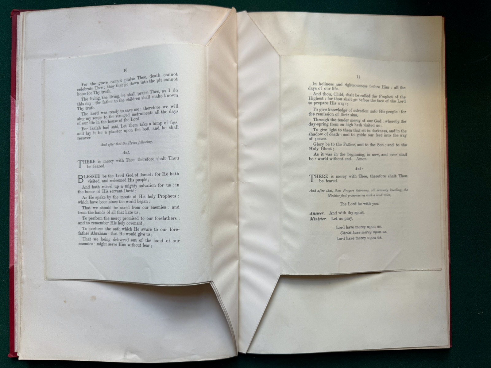 Image #12